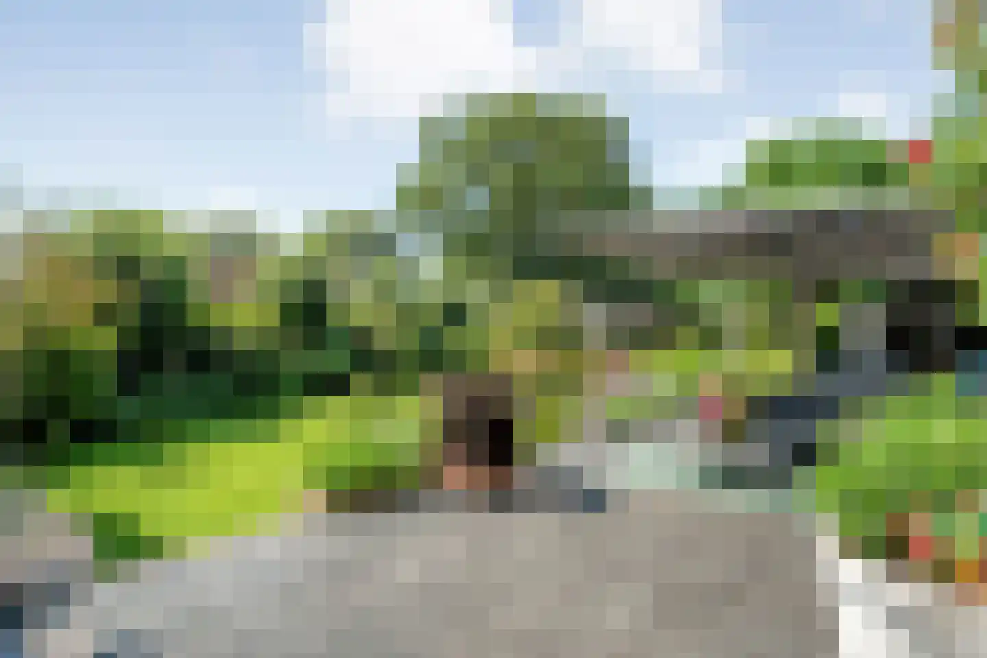 Oud Avereest 44 Balkbrug thumbnail 47