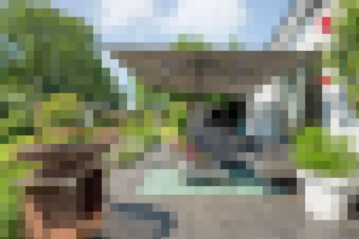 Oud Avereest 44 Balkbrug thumbnail 48