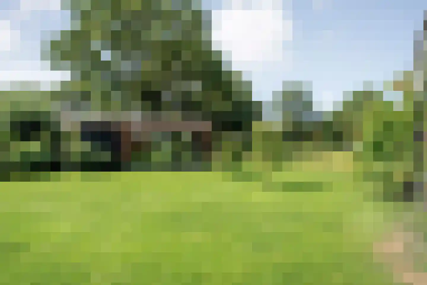 Oud Avereest 44 Balkbrug thumbnail 52