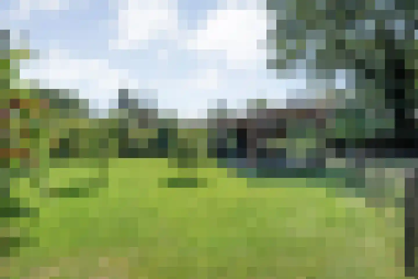 Oud Avereest 44 Balkbrug thumbnail 53