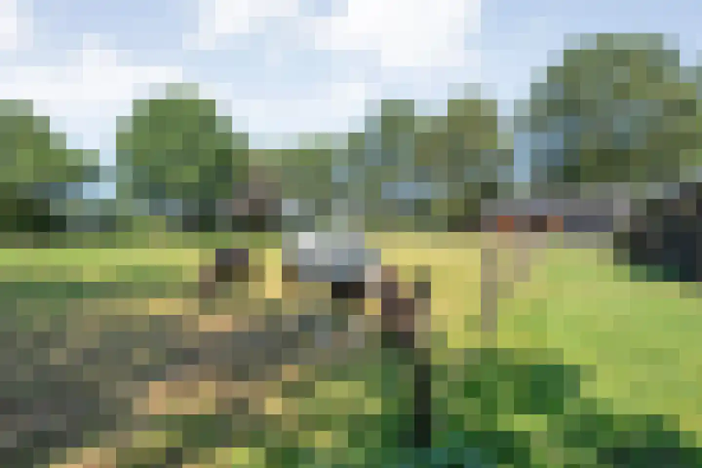Oud Avereest 44 Balkbrug thumbnail 57
