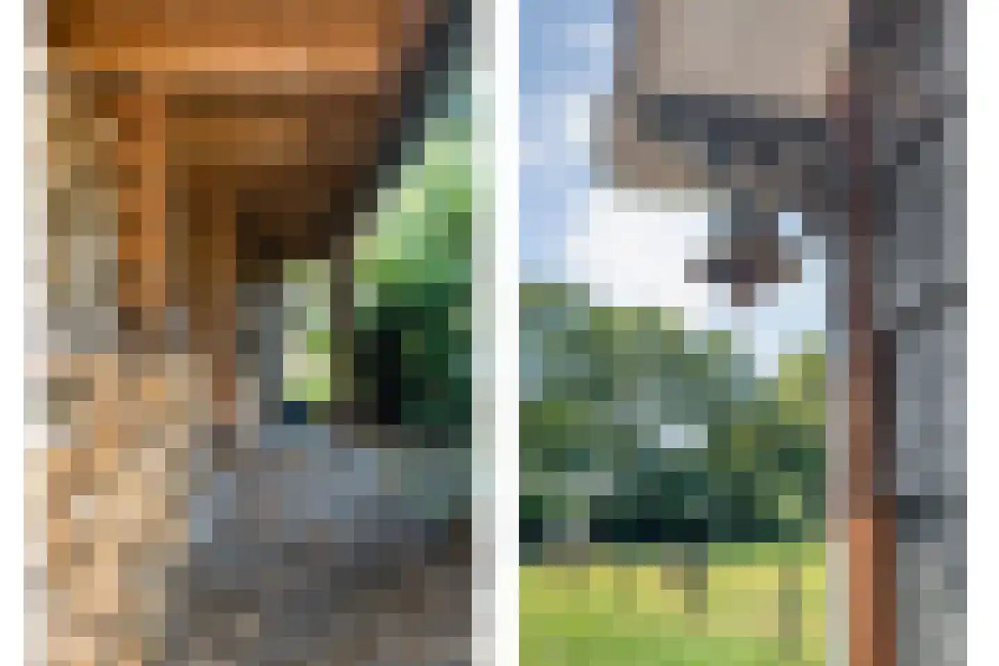 Oud Avereest 44 Balkbrug thumbnail 63