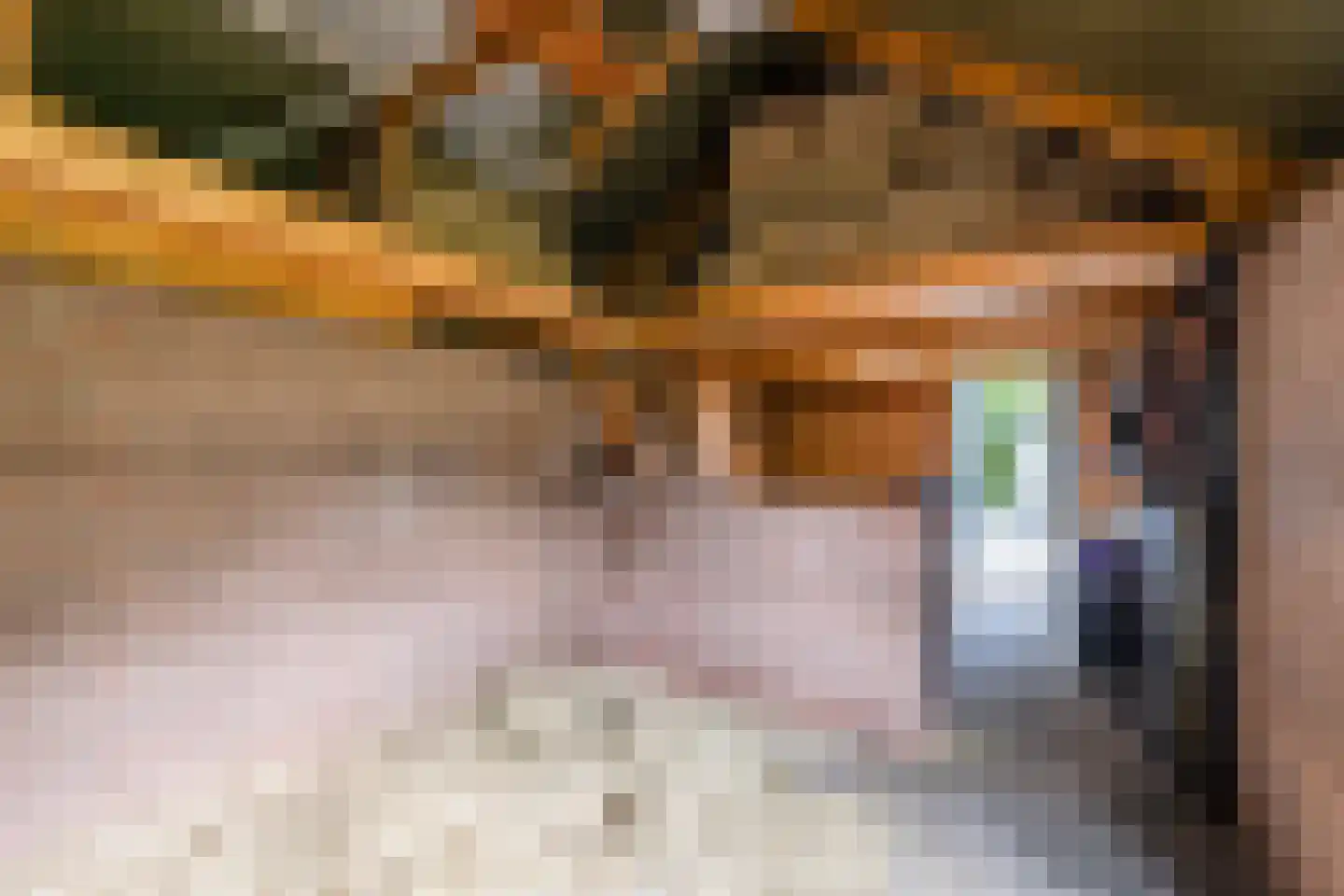 Oud Avereest 44 Balkbrug thumbnail 65