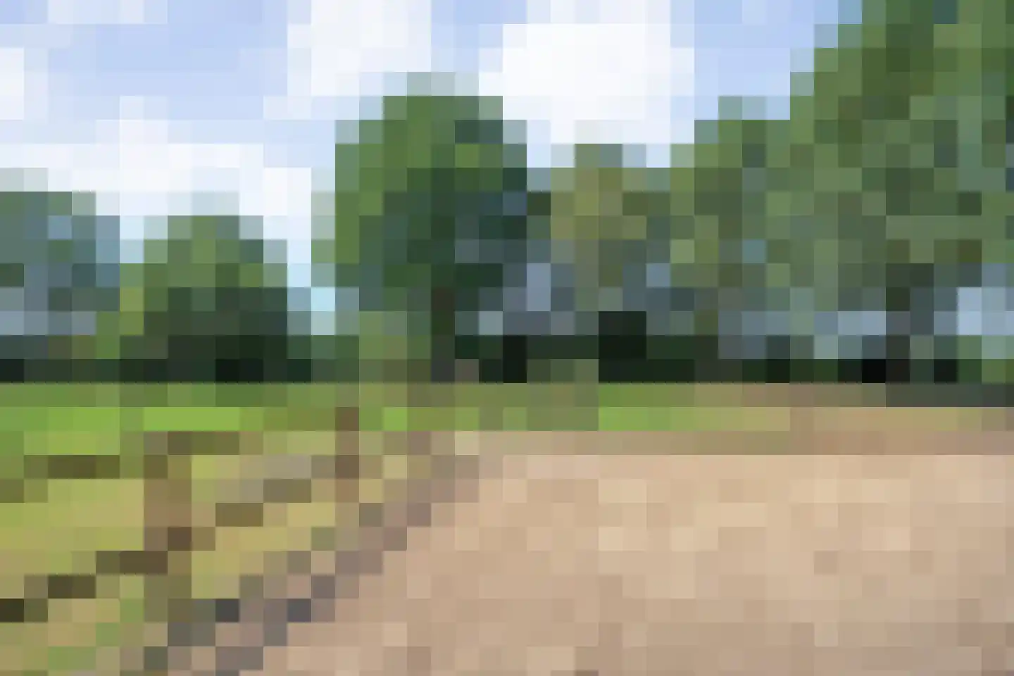 Oud Avereest 44 Balkbrug thumbnail 68