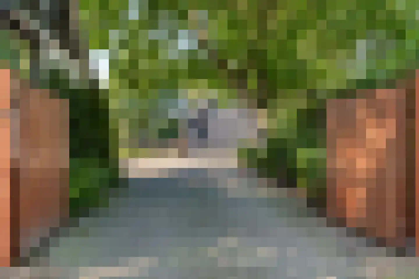 Oud Avereest 44 Balkbrug thumbnail 69
