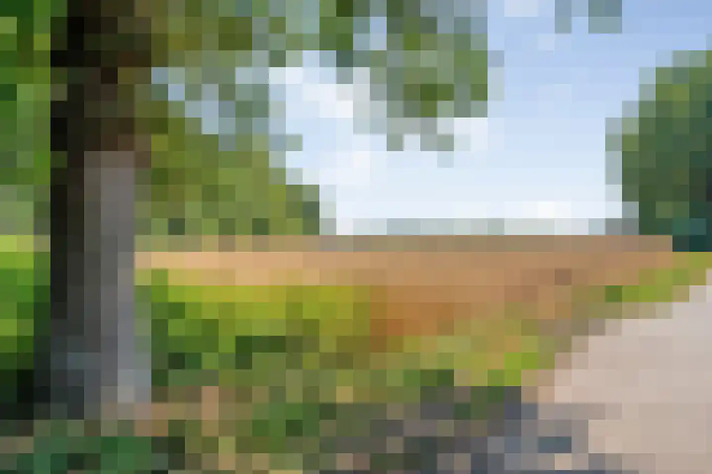 Oud Avereest 44 Balkbrug thumbnail 77