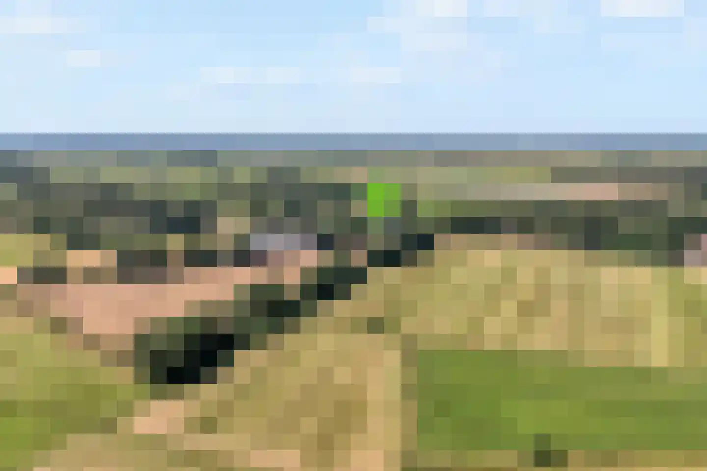 Oud Avereest 44 Balkbrug thumbnail 79
