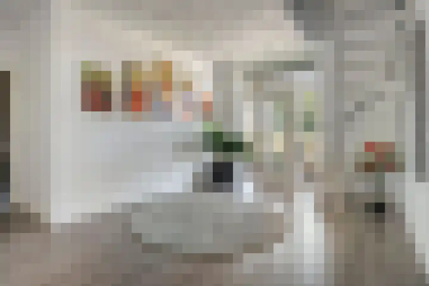 Oud Avereest 44 Balkbrug thumbnail 8
