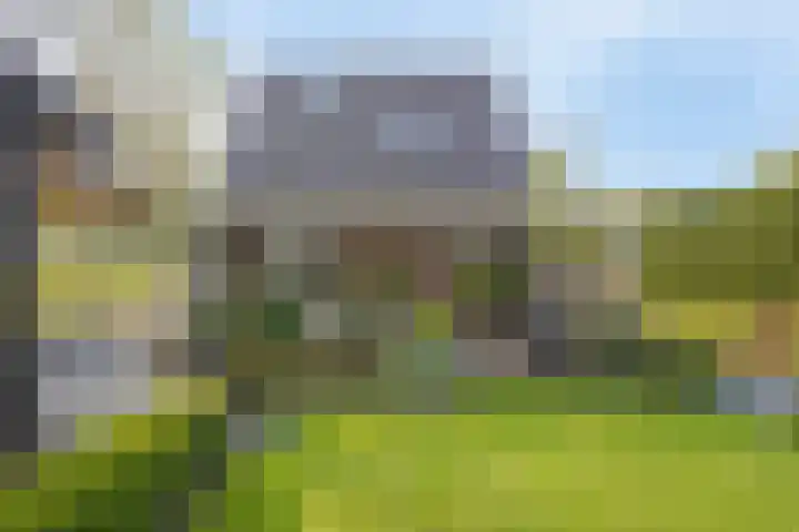 Oud-Beijerlandsedijk 38 Oud-Beijerland thumbnail 31