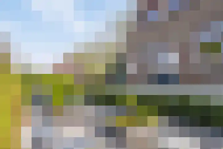 Oud-Beijerlandsedijk 38 Oud-Beijerland thumbnail 33
