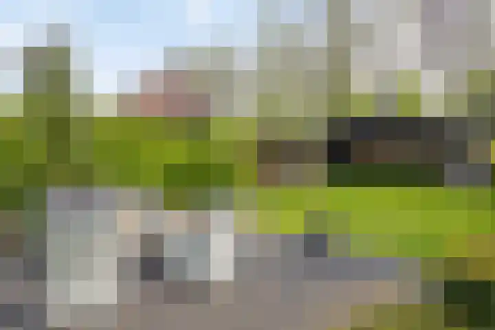 Oud-Beijerlandsedijk 38 Oud-Beijerland thumbnail 36