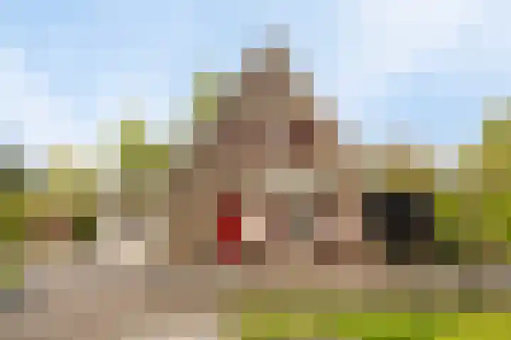 Oud-Beijerlandsedijk 38 Oud-Beijerland thumbnail 6