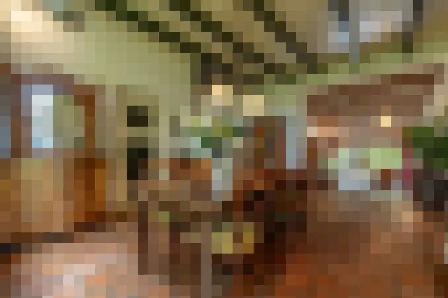 Oud-Beijerlandsedijk 40 Oud-Beijerland thumbnail 12