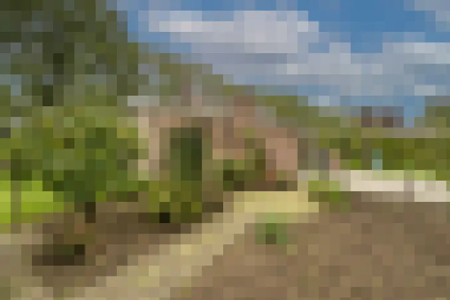 Oud-Beijerlandsedijk 40 Oud-Beijerland thumbnail 31