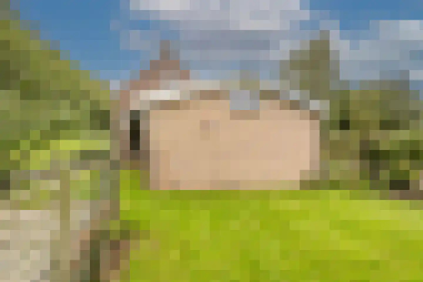Oud-Beijerlandsedijk 40 Oud-Beijerland thumbnail 32