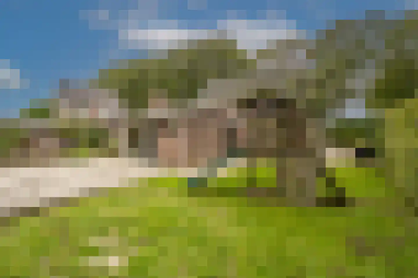 Oud-Beijerlandsedijk 40 Oud-Beijerland thumbnail 33