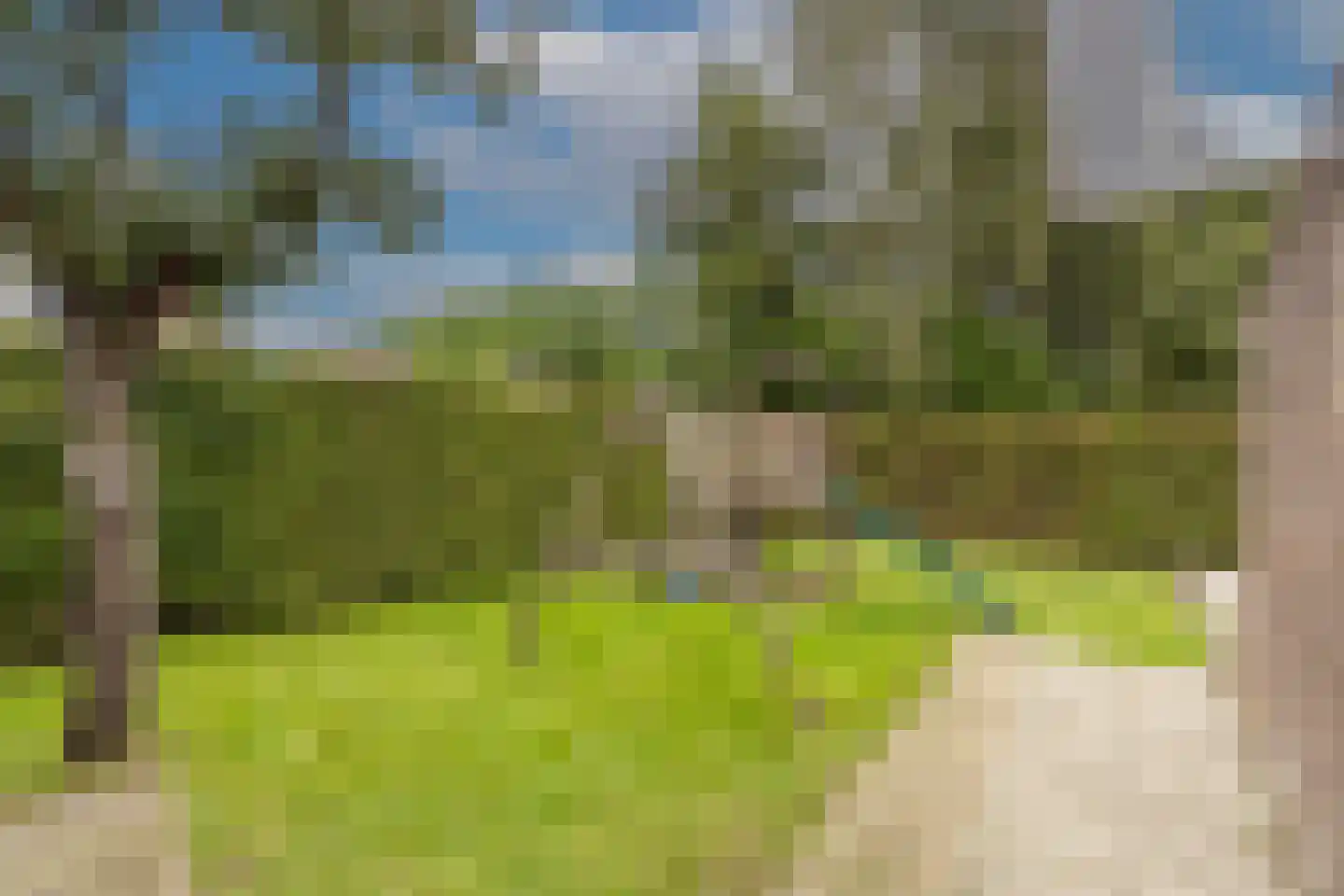 Oud-Beijerlandsedijk 40 Oud-Beijerland thumbnail 34
