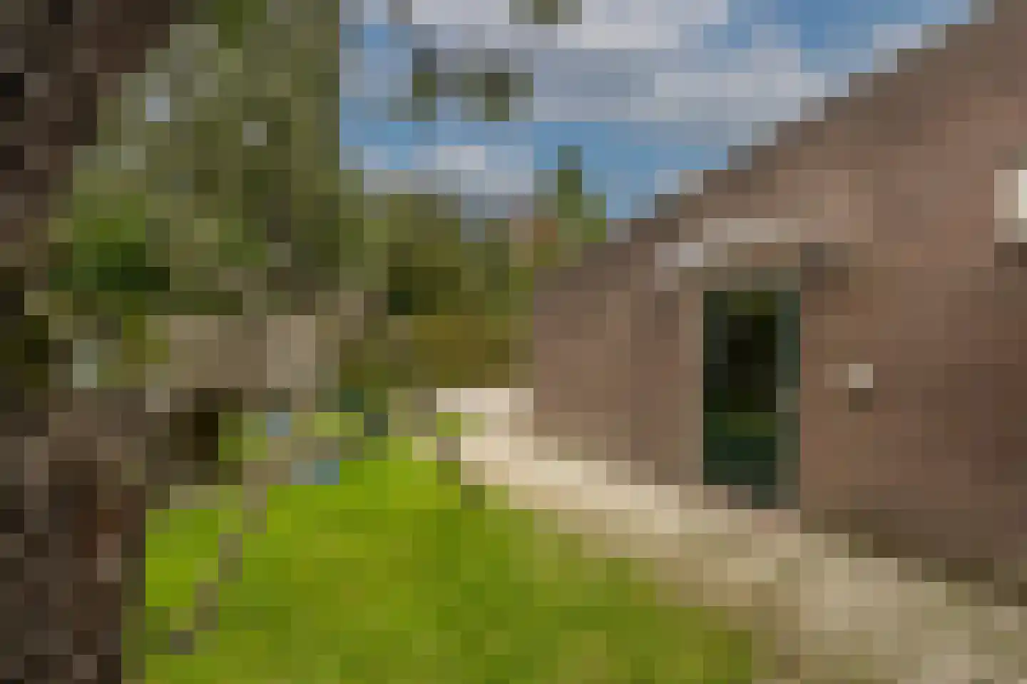 Oud-Beijerlandsedijk 40 Oud-Beijerland thumbnail 35
