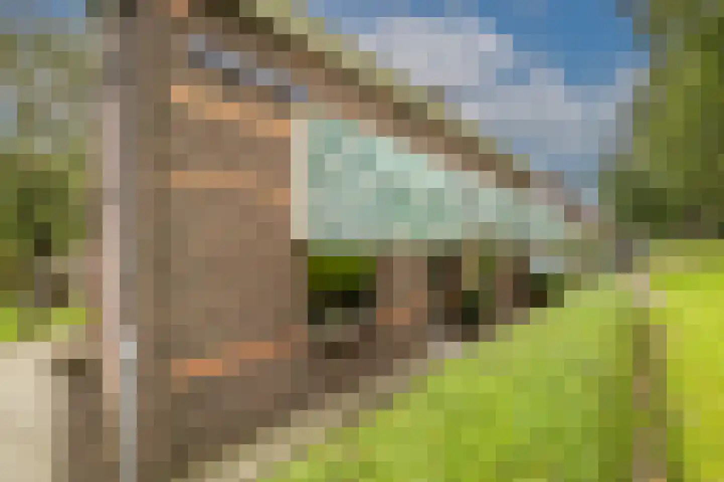 Oud-Beijerlandsedijk 40 Oud-Beijerland thumbnail 38