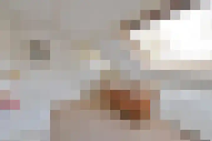 Oud Blaricumerweg 3 Naarden thumbnail 15
