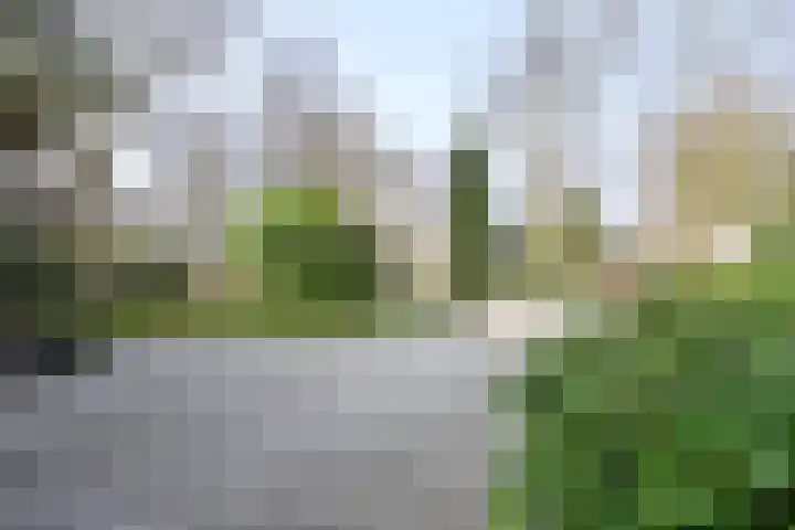 Oud Blaricumerweg 3 Naarden thumbnail 18