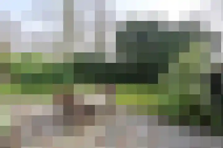 Oud Blaricumerweg 3 Naarden thumbnail 20