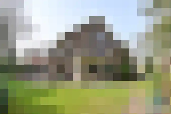 Oud Blaricumerweg 3 Naarden thumbnail 21