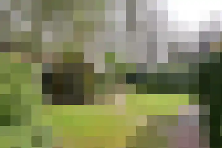 Oud Blaricumerweg 3 Naarden thumbnail 22