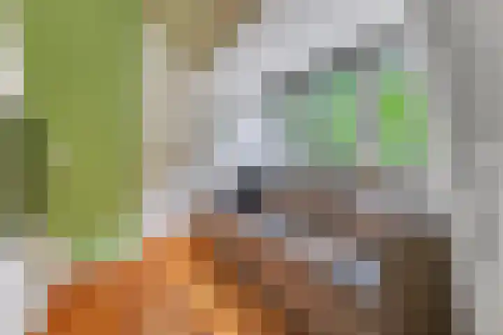 Oud Blaricummerweg 11 Laren thumbnail 22