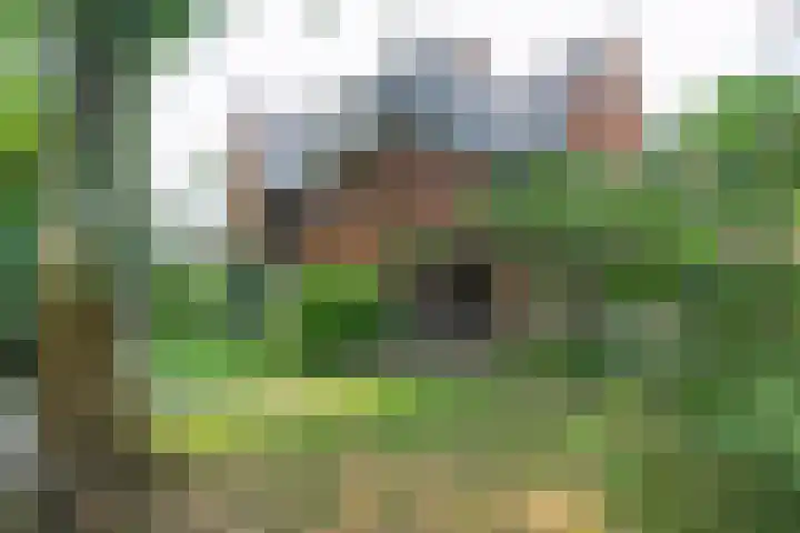 Oud Blaricummerweg 11 Laren thumbnail 29