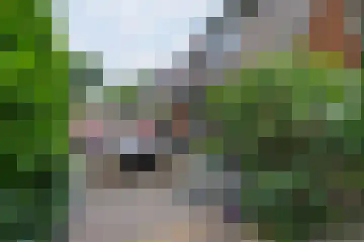 Oud Blaricummerweg 11 Laren thumbnail 30