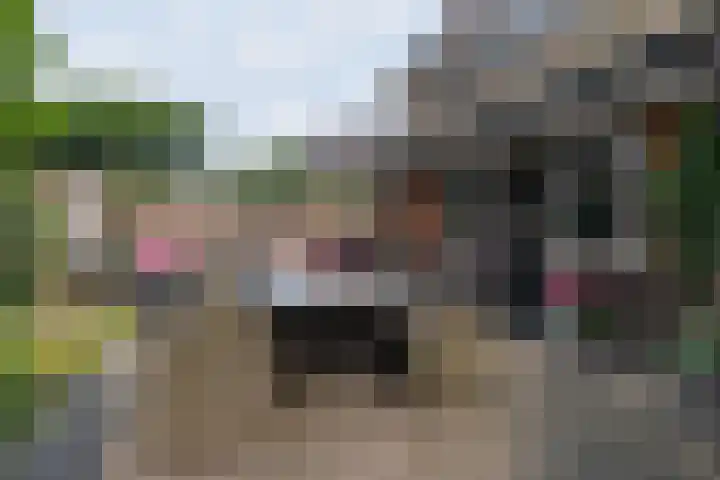Oud Blaricummerweg 11 Laren thumbnail 31