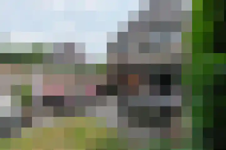 Oud Blaricummerweg 11 Laren thumbnail 33