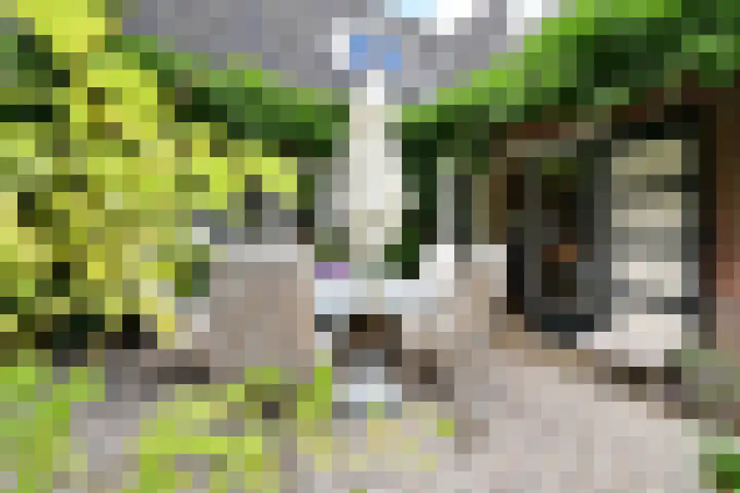 Oud Blaricummerweg 16 Laren thumbnail 13