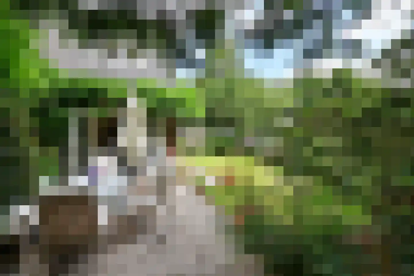 Oud Blaricummerweg 16 Laren thumbnail 14