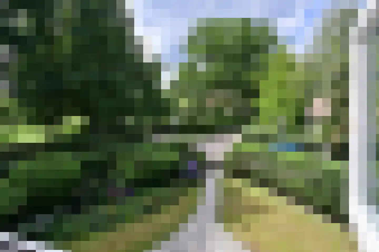 Oud Blaricummerweg 16 Laren thumbnail 24