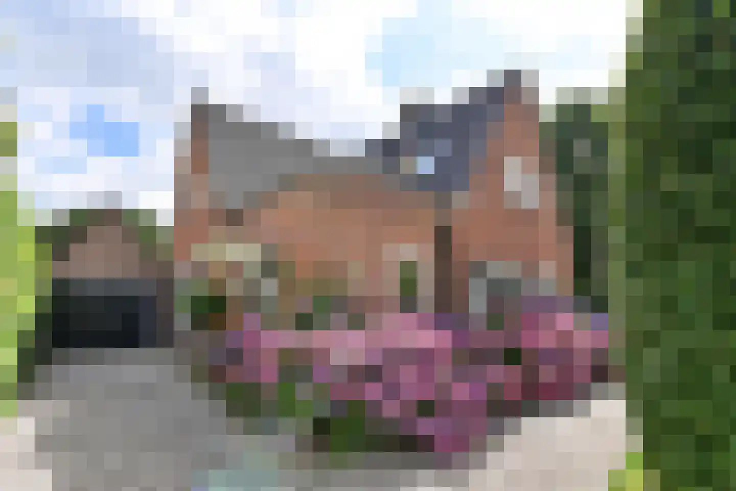 Oud Blaricummerweg 16 Laren thumbnail 26