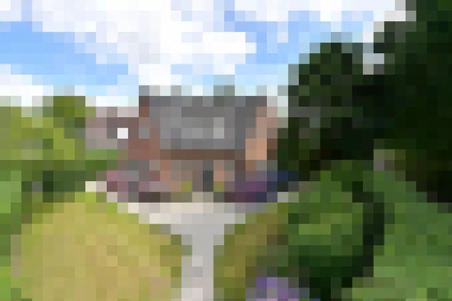 Oud Blaricummerweg 16 Laren thumbnail 28