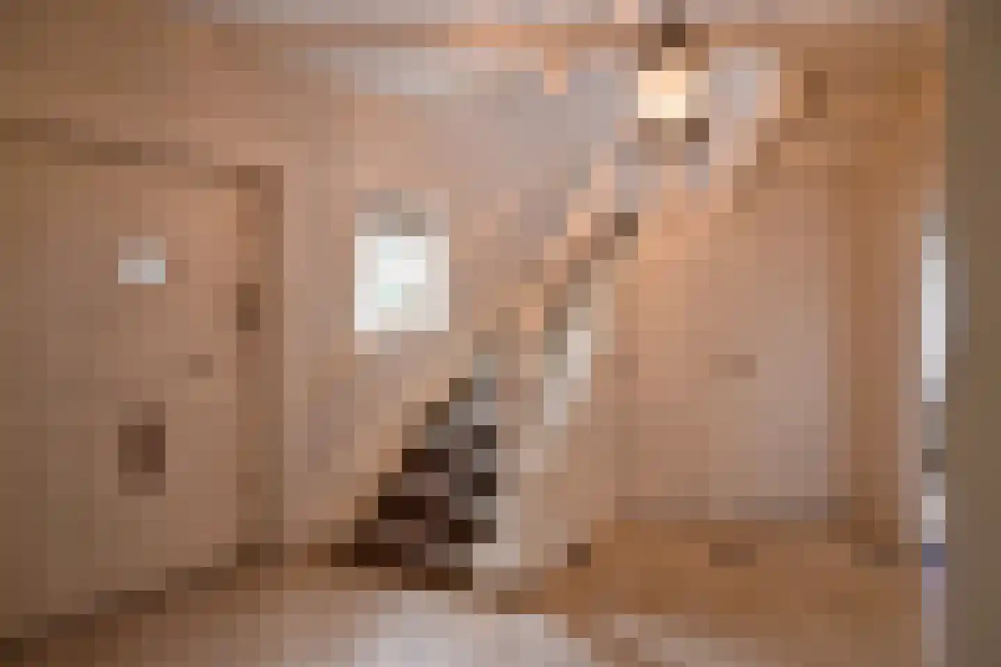 Oud Blaricummerweg 16 Laren thumbnail 5