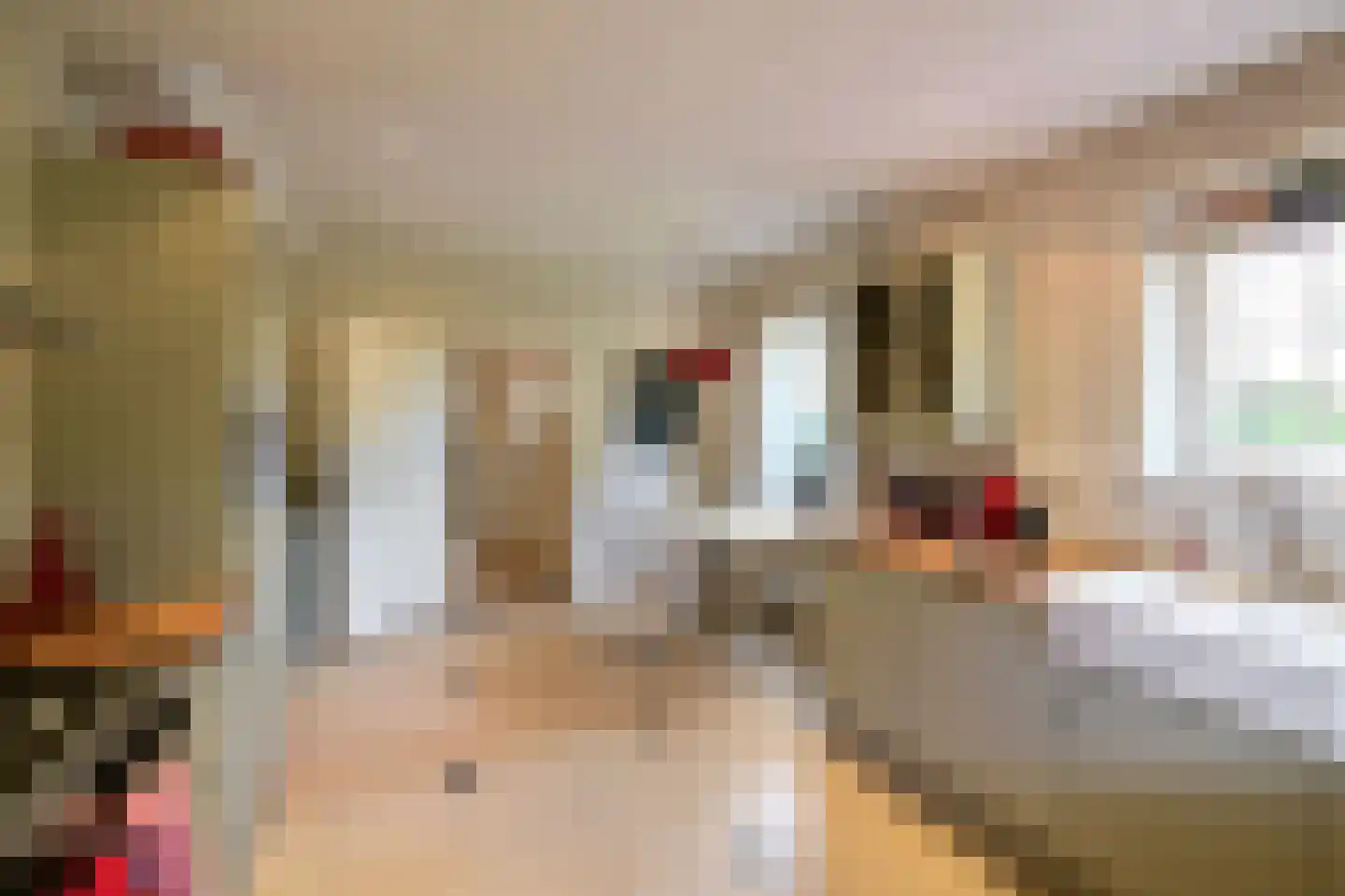 Oud Blaricummerweg 16 Laren thumbnail 6