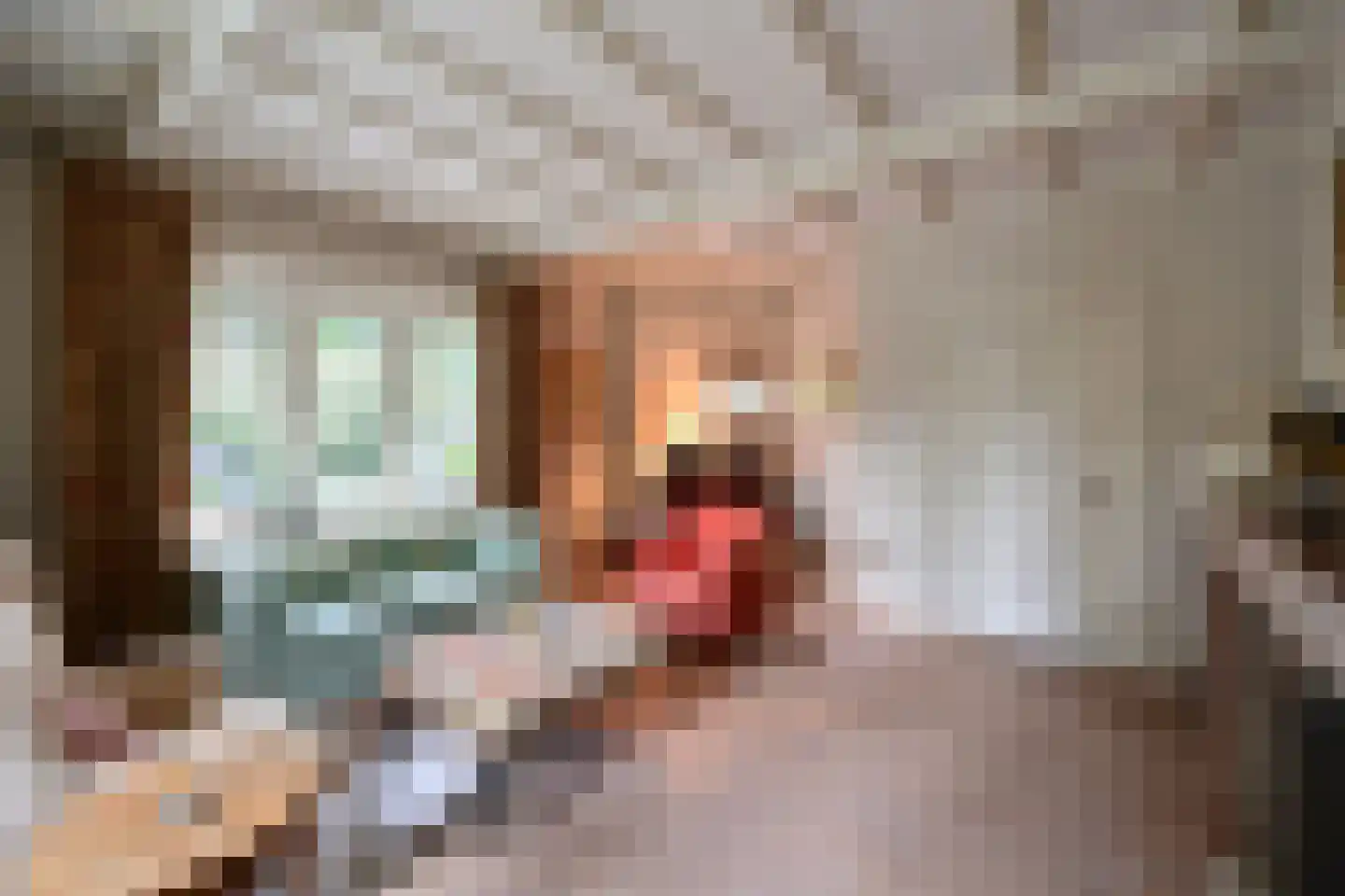 Oud Blaricummerweg 16 Laren thumbnail 8