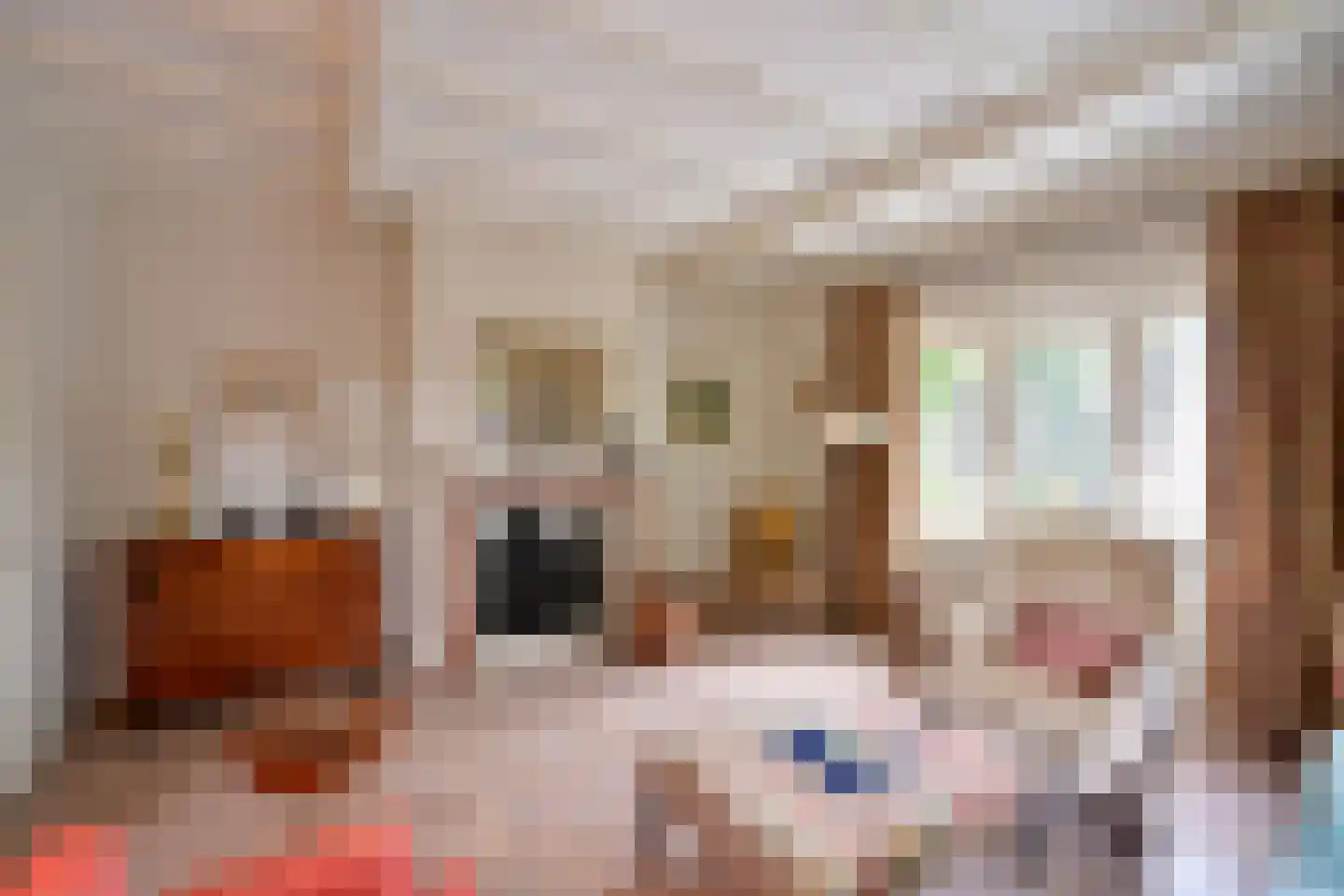 Oud Blaricummerweg 16 Laren thumbnail 9
