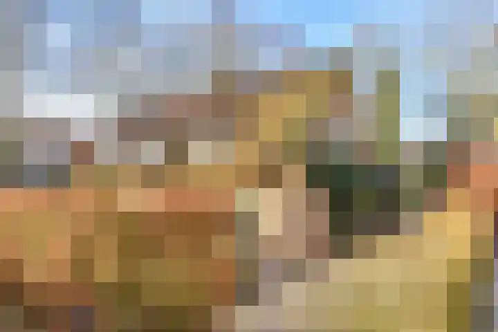 Oud Blaricummerweg 25 a Laren thumbnail 33