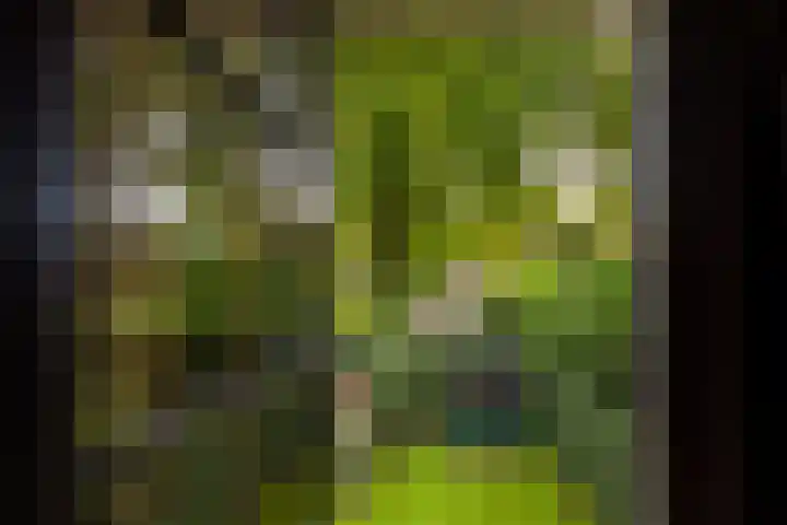 Oud Blaricummerweg 27 a Laren thumbnail 31