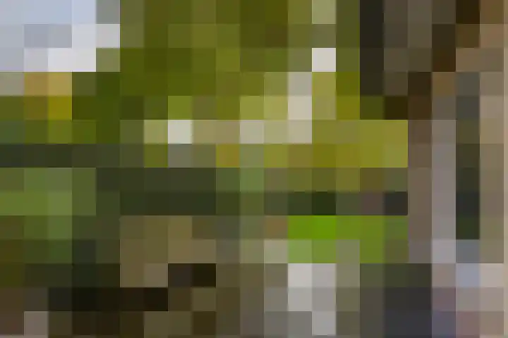 Oud Blaricummerweg 27 a Laren thumbnail 4