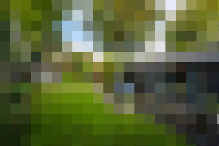 Oud Blaricummerweg 27 a Laren thumbnail 53