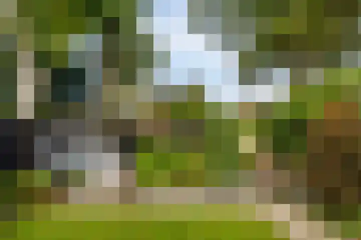 Oud Blaricummerweg 27 a Laren thumbnail 54