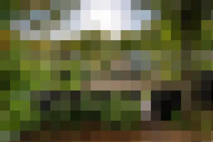 Oud Blaricummerweg 27 a Laren thumbnail 56