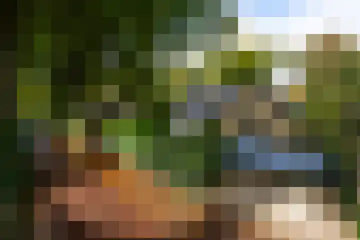 Oud Blaricummerweg 27 a Laren thumbnail 61