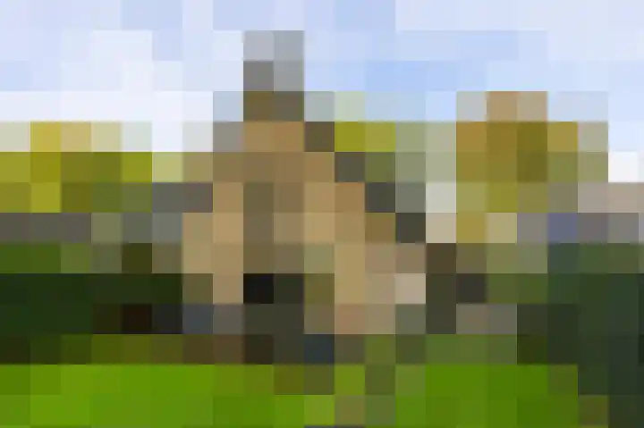 Oud Blaricummerweg 27 a Laren thumbnail 8